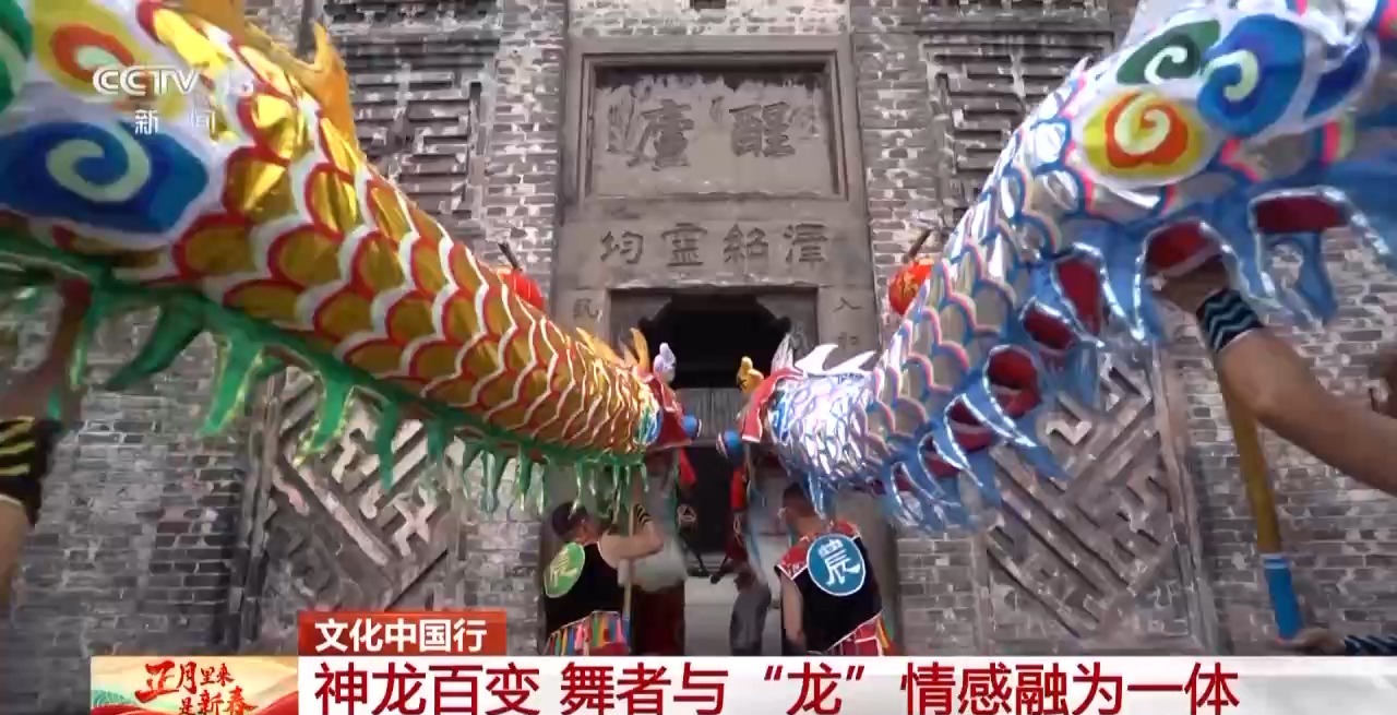 龙、百叶龙……来看不拘一格的龙舞之美冰球突破平台文化中国行丨火龙、板凳(图7)