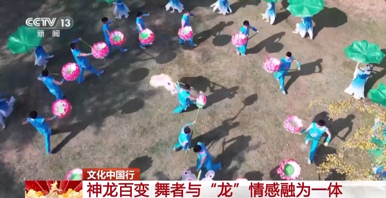 龙、百叶龙……来看不拘一格的龙舞之美冰球突破平台文化中国行丨火龙、板凳(图14)